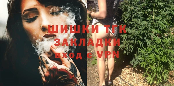 прущие грибы Балахна
