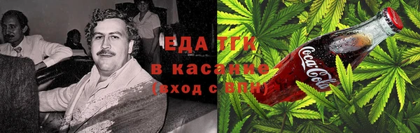 прущие грибы Балахна
